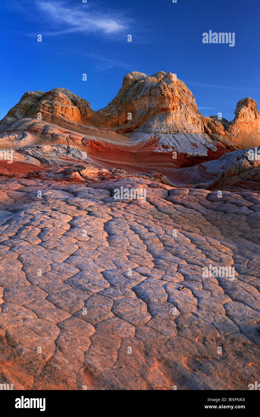 'Cerveau' formations de roche de grès au 'White Pocket' dans la région de Vermilion Cliffs National Monument, Arizona Banque D'Images