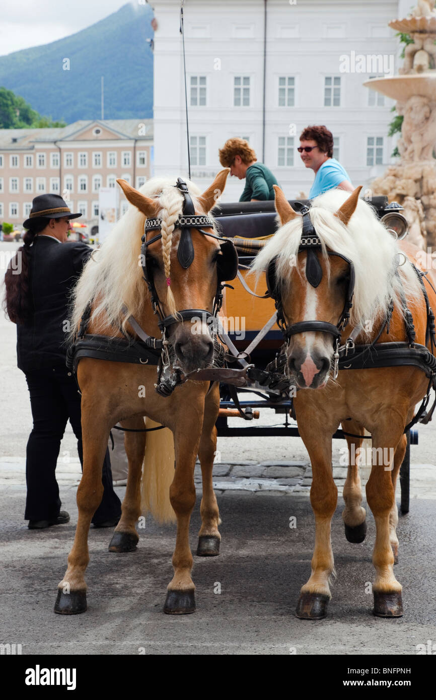La calèche touristique pour des visites de la ville avec une paire de chevaux blonds dans le faisceau. Residenz Platz, Salzbourg, Autriche. Banque D'Images