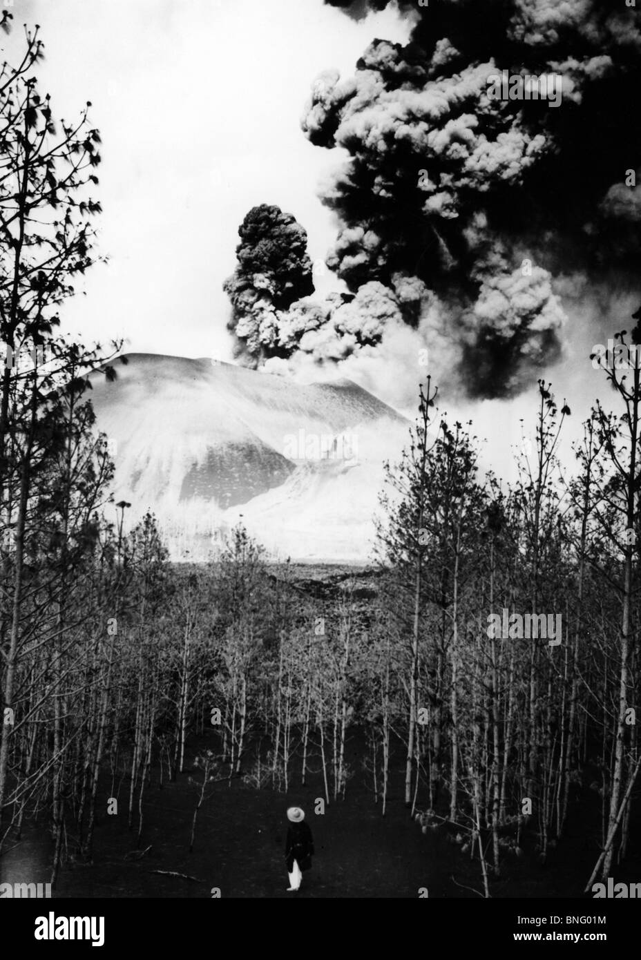 Le Mexique, Michoacan, Paricutin, la fumée d'un volcan en éruption Banque D'Images