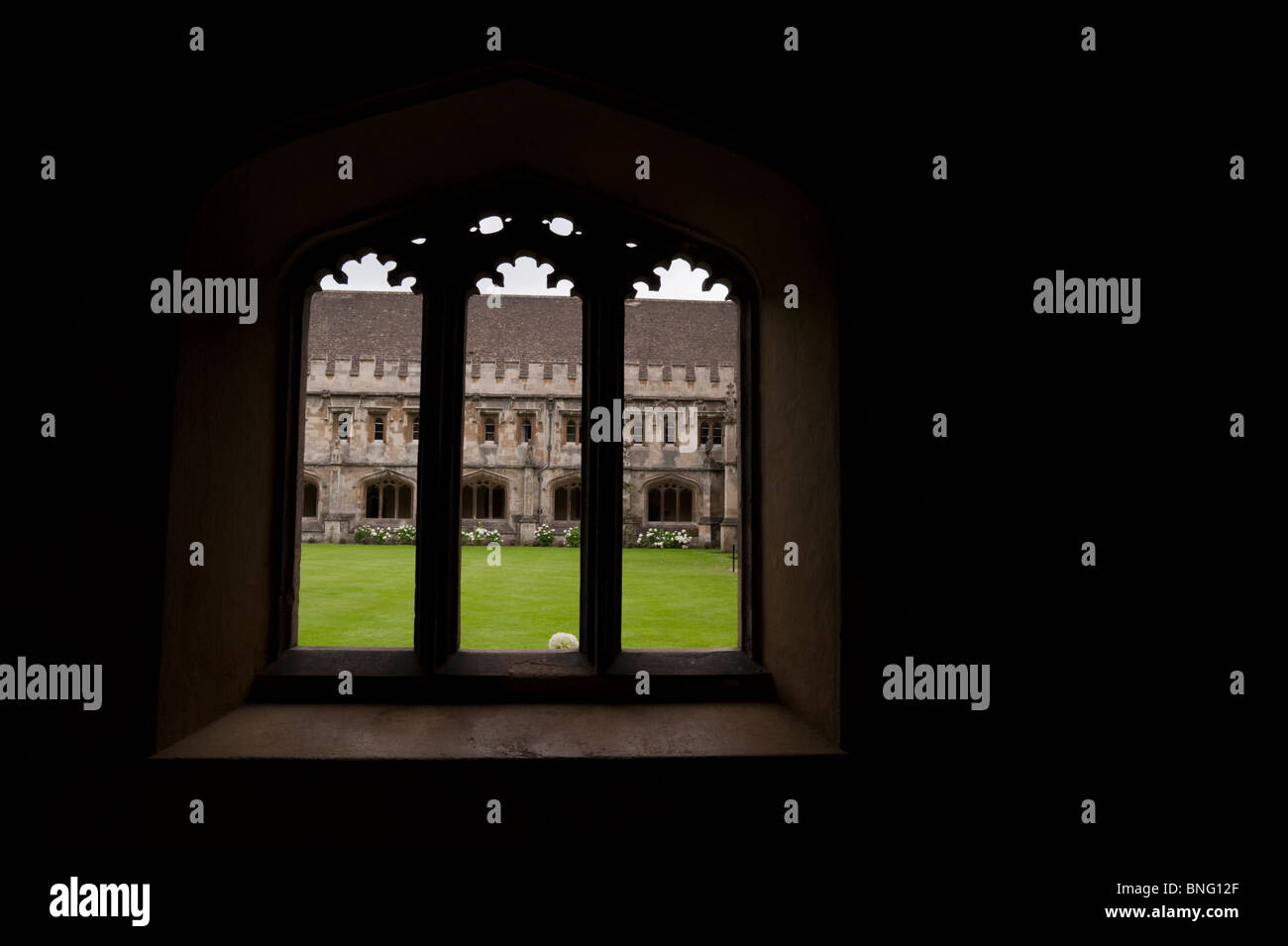 Donnant sur la pelouse du cloître du Magdalen College ou une grande fenêtre cintrée par un Quad. Banque D'Images Donnant sur la pelouse du cloître du Magdalen College ou une grande fenêtre cintrée par un Quad. Banque D'Images