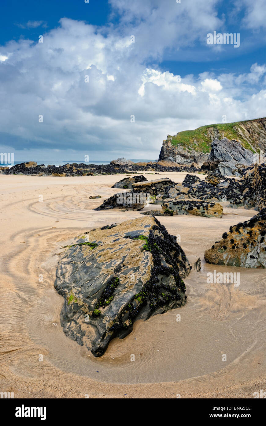 Tolcarne beach Newquay angleterre uk Banque D'Images