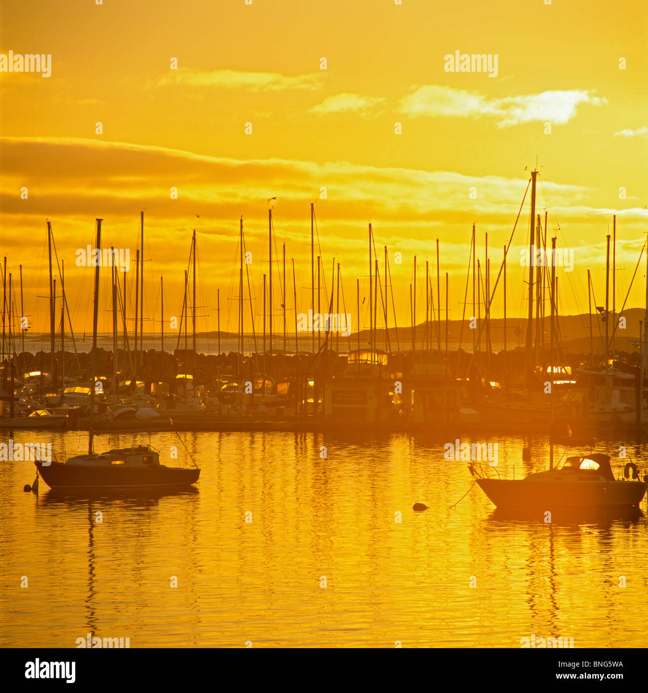 Bateaux dans la mer, Marina Oak Bay, Victoria, île de Vancouver, Colombie-Britannique, Canada Banque D'Images