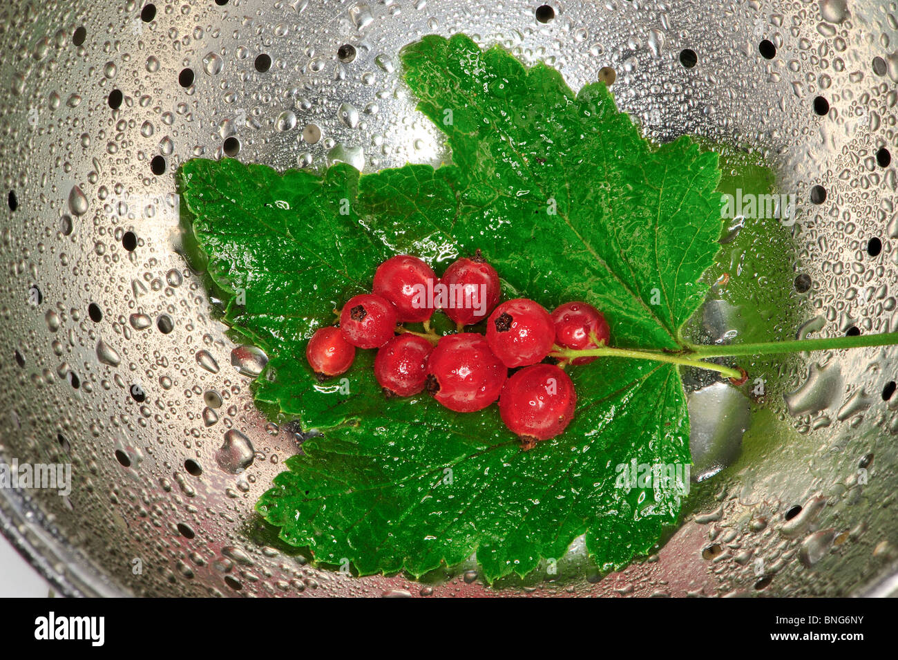 Groseilles rouges, aliments, naturels, frais, sans additifs chimiques, pas d'ogm, de légumes, de gastronomie, Banque D'Images