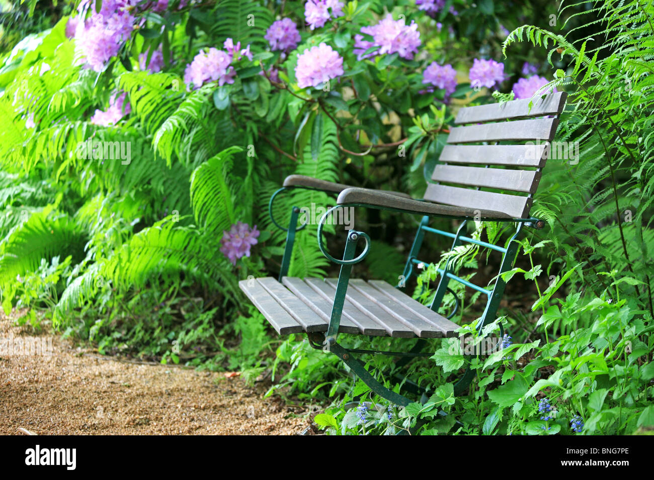 Chaise En Bois Dans Le Jardin Des Fleurs En Été. Banque D'Images et Photos  Libres De Droits. Image 90069196