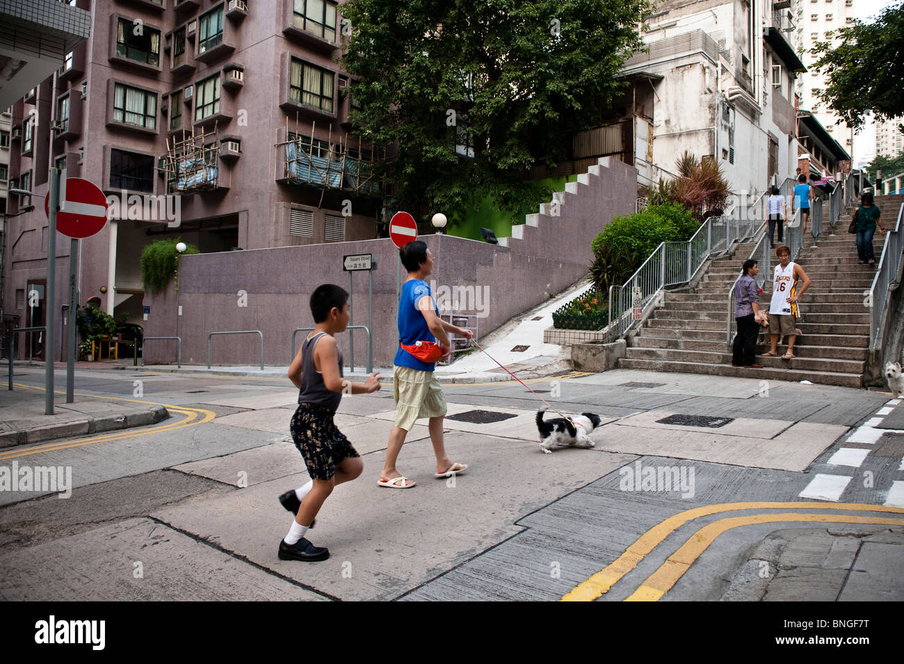 Hong Kong, à Sunnies, un restaurant cantonais local il est très facile d'observer les habitants passant par Tai Ping Banque D'Images