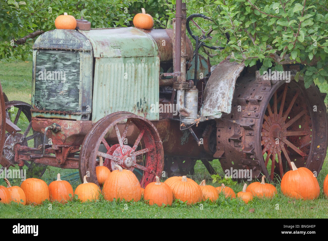Vieux tracteur avec des citrouilles dans un champ, Keremeos, British Columbia, Canada Banque D'Images