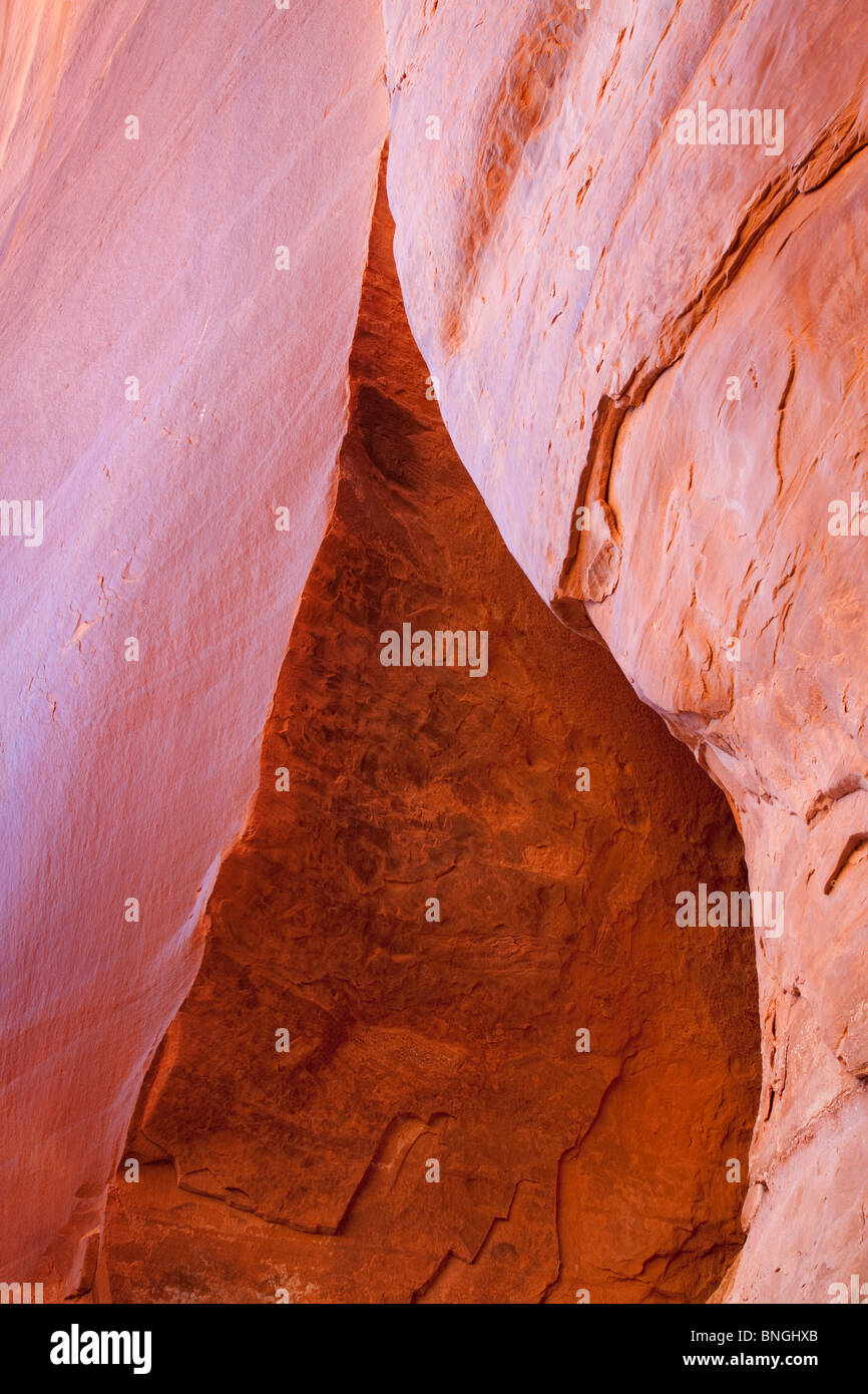 Des formations rocheuses, Escalante Canyon, Glen Canyon National Recreation Area, Utah, USA Banque D'Images