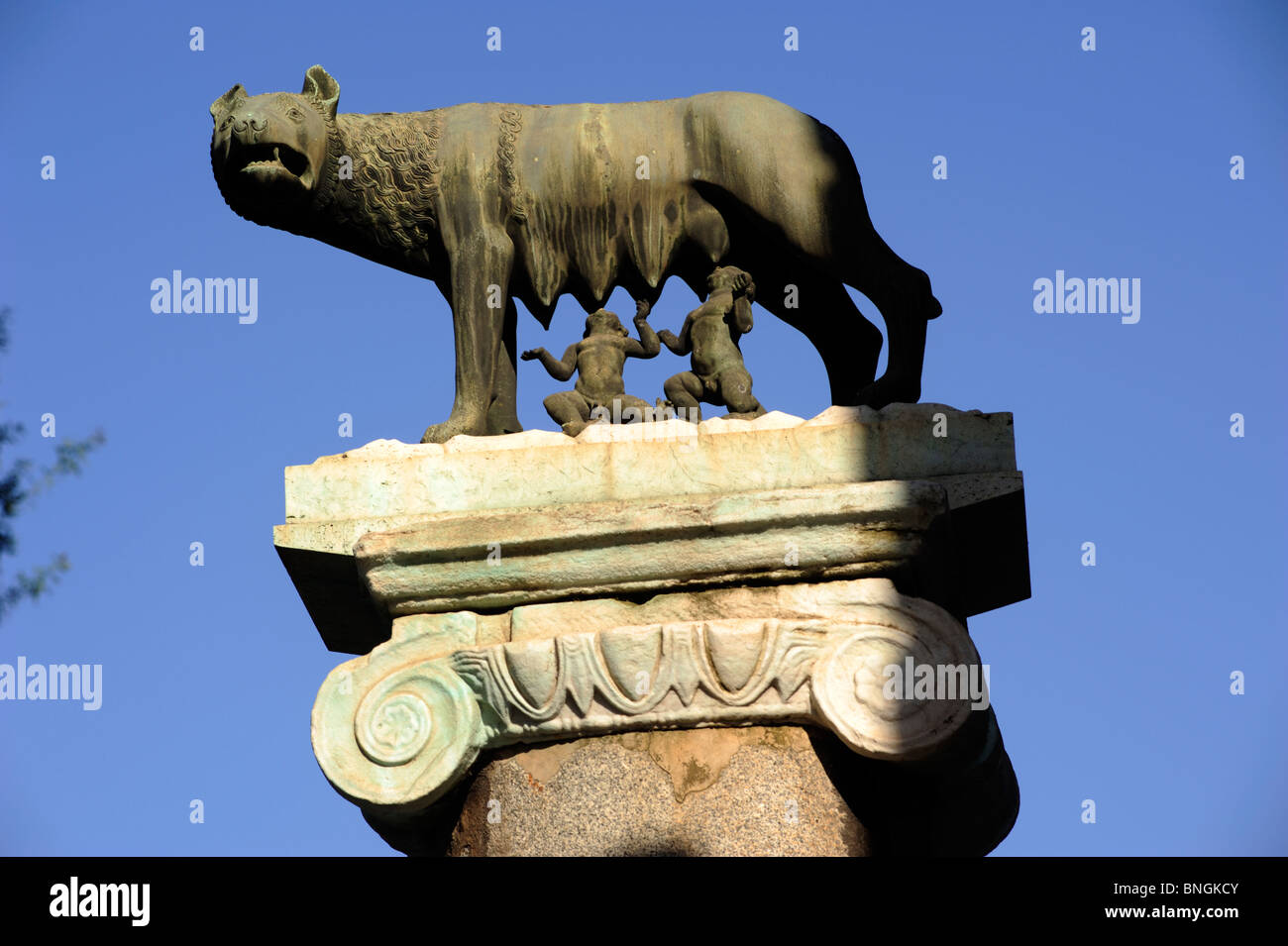 Statue de loup avec romulus et remus Banque de photographies et d’images à haute résolution