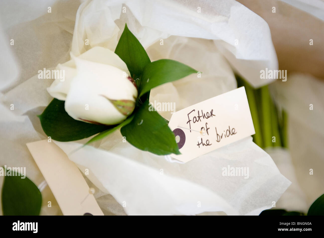 Fleurs de mariage Banque D'Images