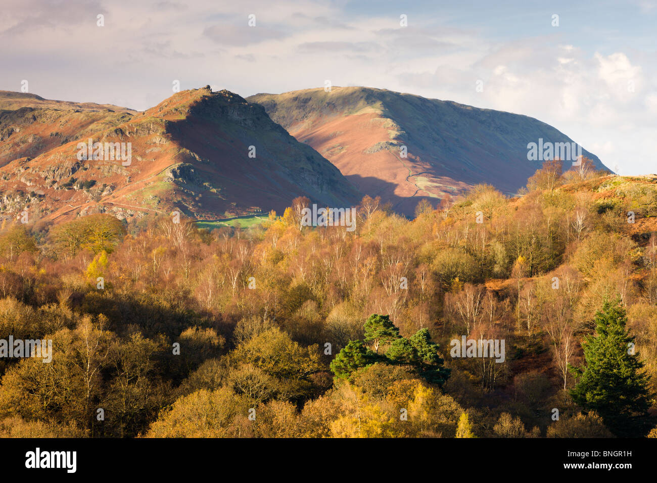 Helm Crag et de l'acier est passé derrière les montagnes, forêts automnales Grasmere, Parc National de Lake District, Cumbria, Angleterre. Banque D'Images