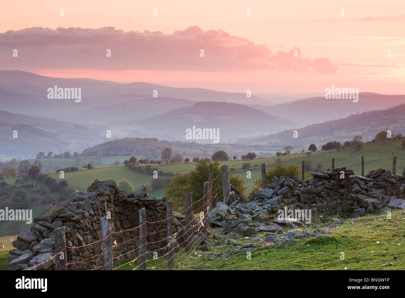 Mur de pierres sèches sur les pentes du mont du Pain de Sucre, vue vers la vallée de l''Usk, parc national de Brecon Beacons, le Pays de Galles Banque D'Images