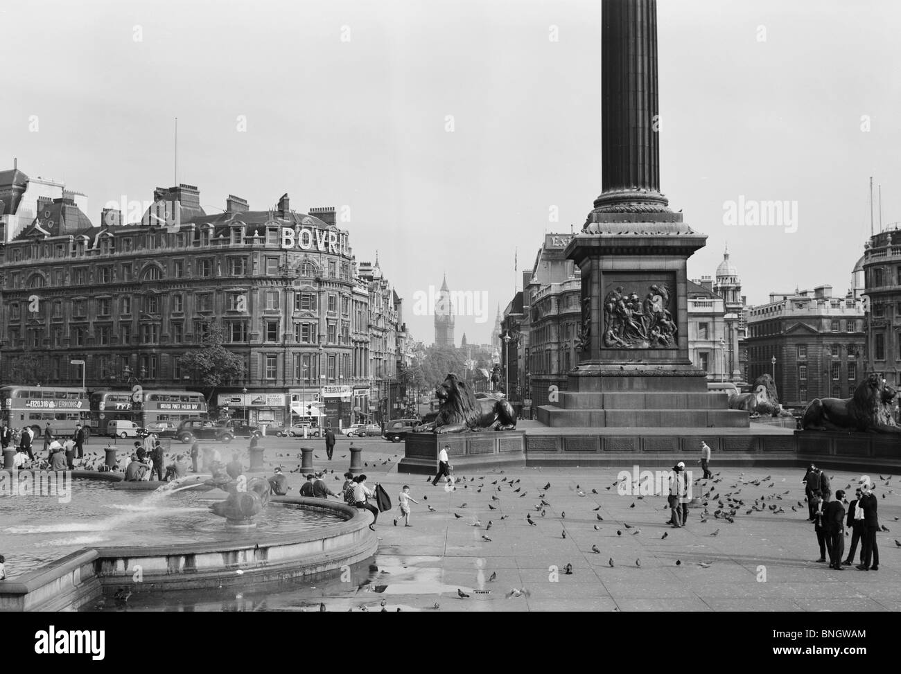 L'Angleterre, Londres, Trafalgar Square Banque D'Images