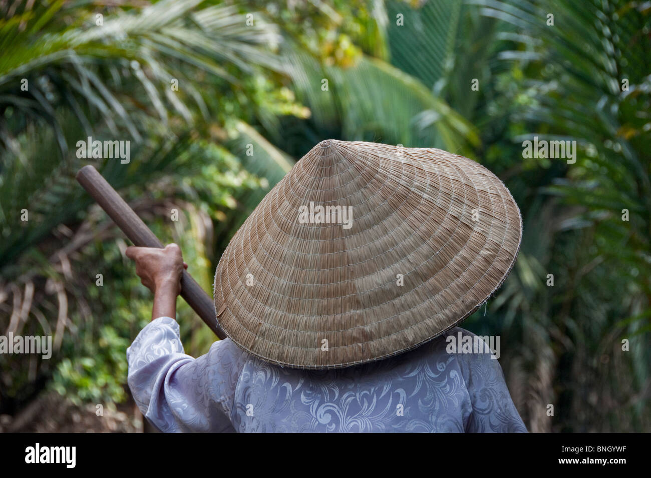 Delta du Mékong & Rizière fonctionne, Delta du Mékong, Vietnam Banque D'Images
