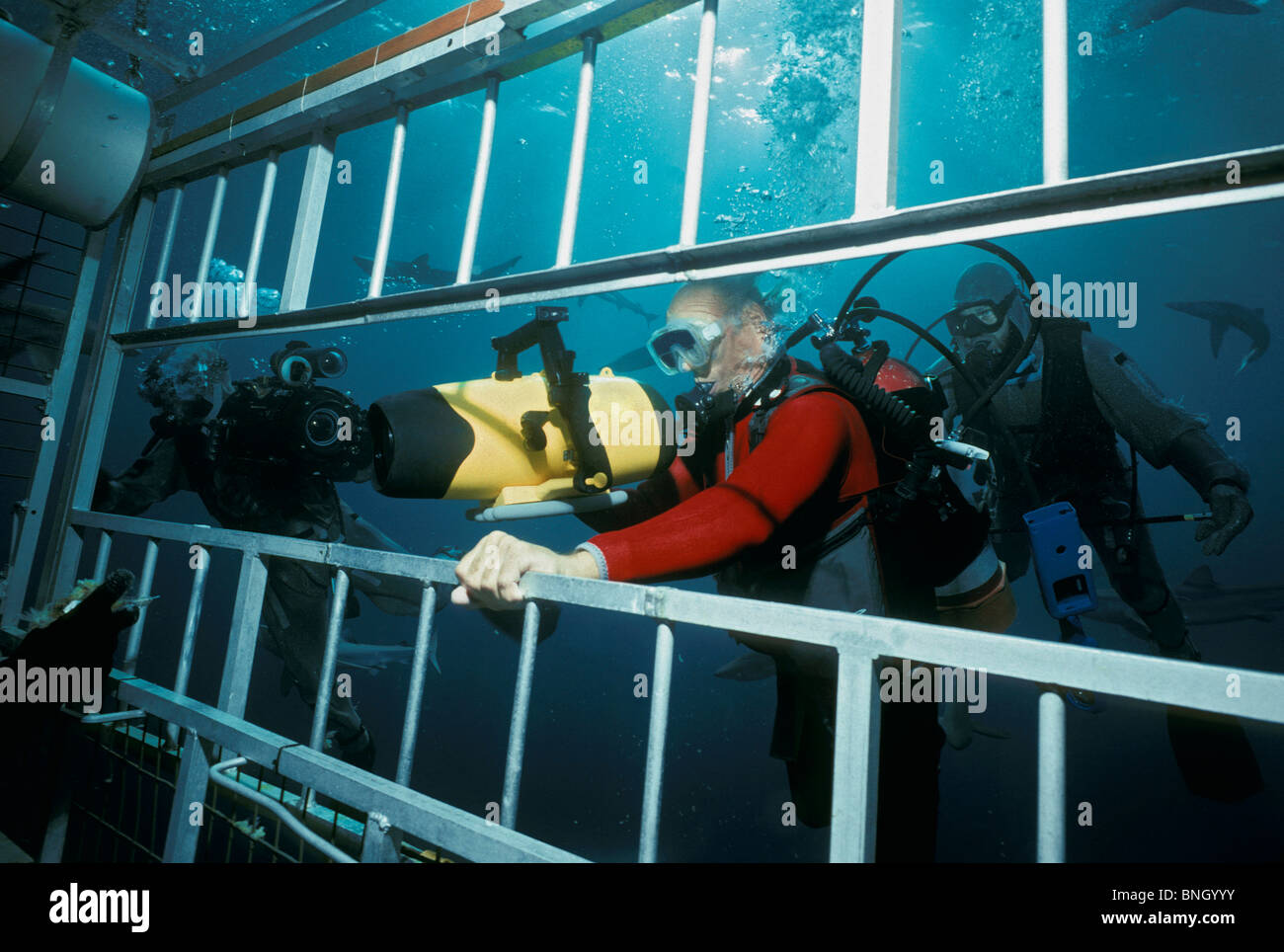 Tournage à l'extérieur de la Californie, shark cage - Océan Pacifique. Banque D'Images