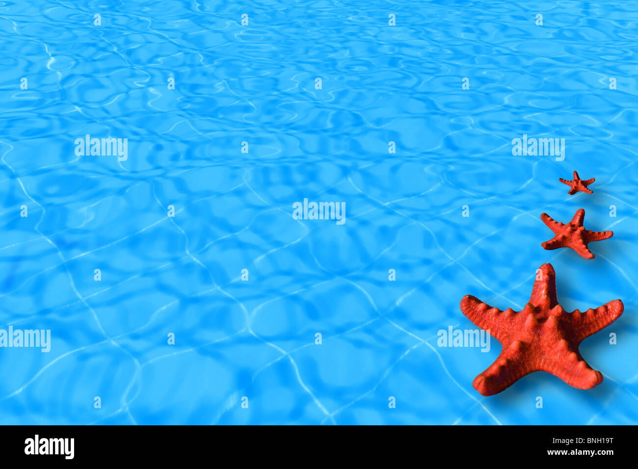 Avec fond de l'eau de mer rouge de l'image conceptuelle de locations ou de l'été Banque D'Images