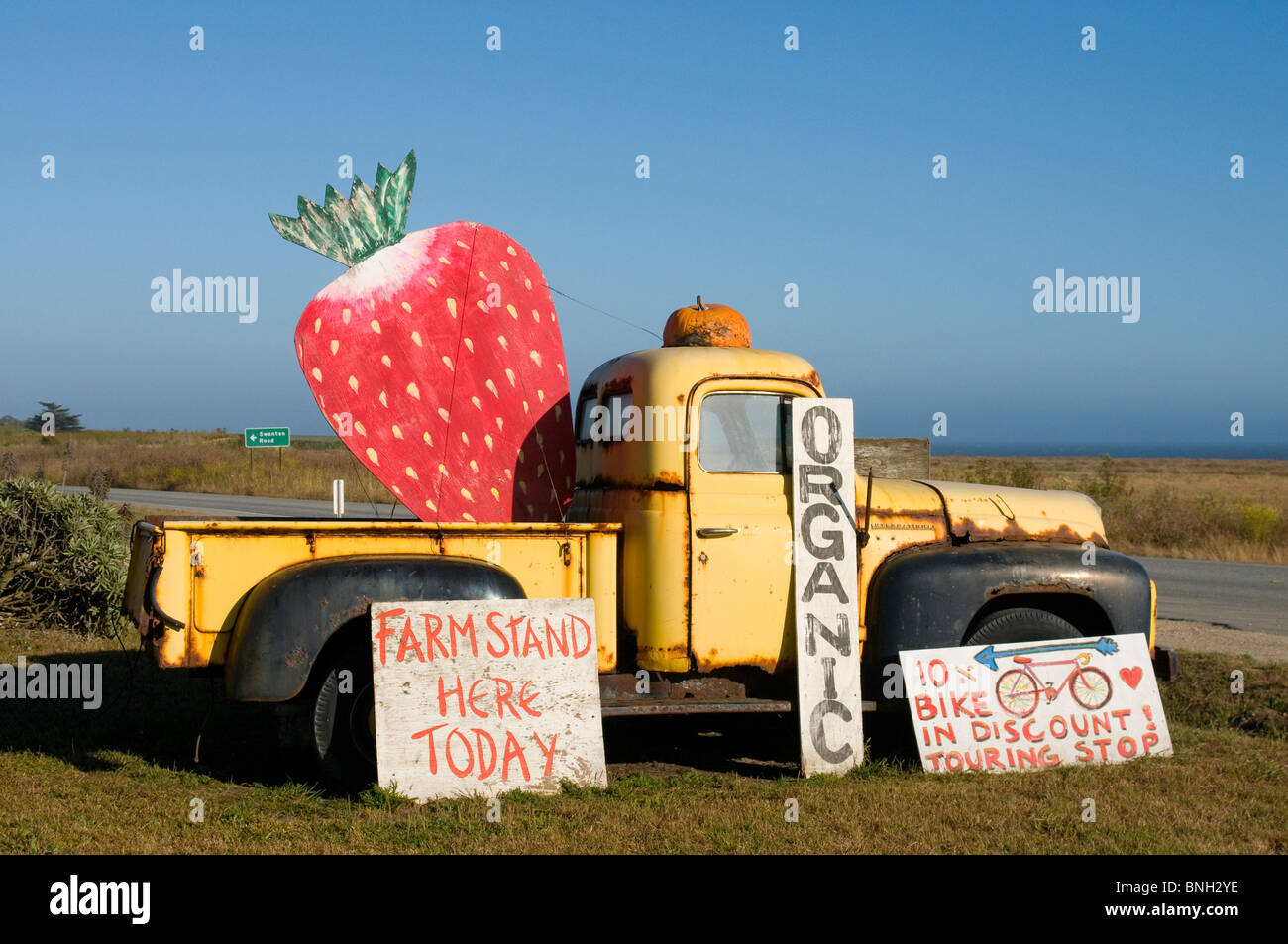 Swanton Berry Farm en Californie Côte centrale Banque D'Images