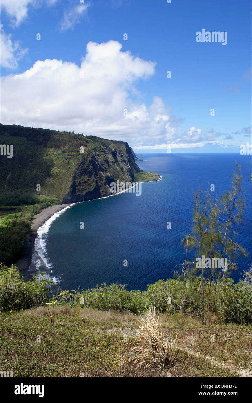 Vallée Waipio Lookout sur la partie supérieure de la côte Est de la Grande Île, New York Banque D'Images