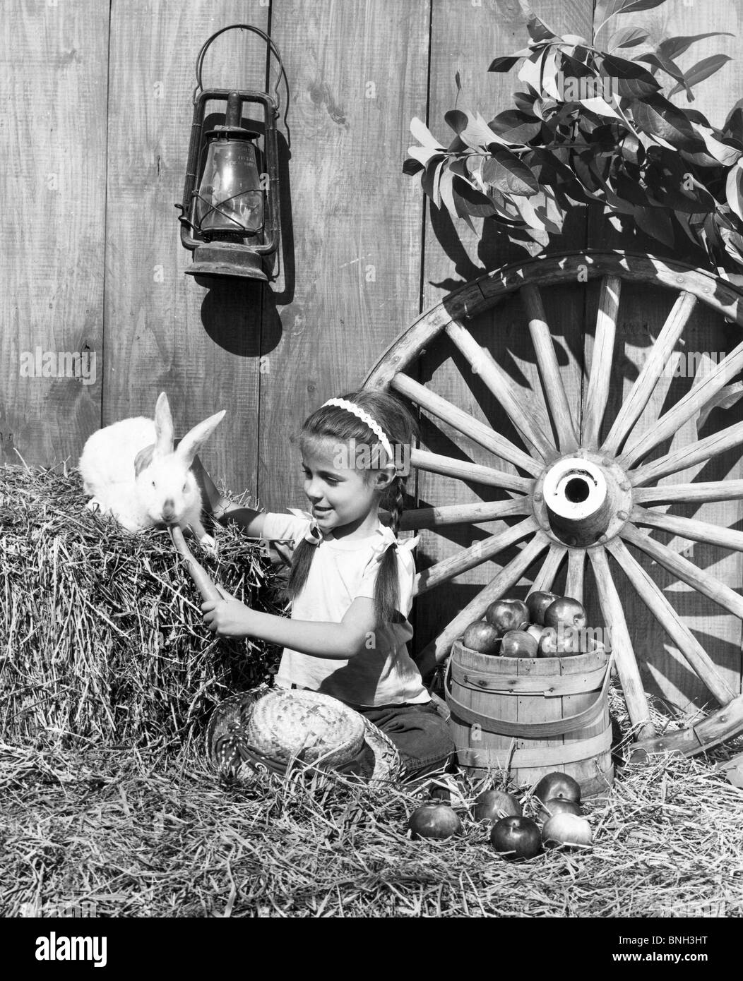 Portrait of a Girl une carotte pour nourrir un lapin Banque D'Images