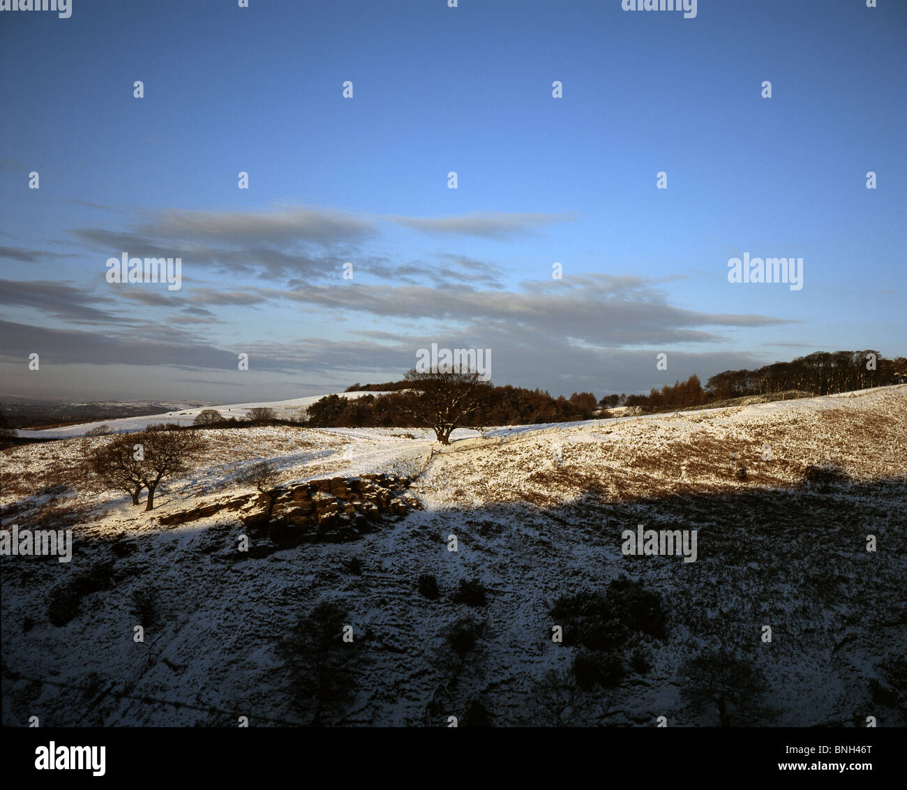 Soirée d'hiver à l'ensemble de la neige au sol recouvert de Lyme Park près de Cheshire Angleterre Banque D'Images