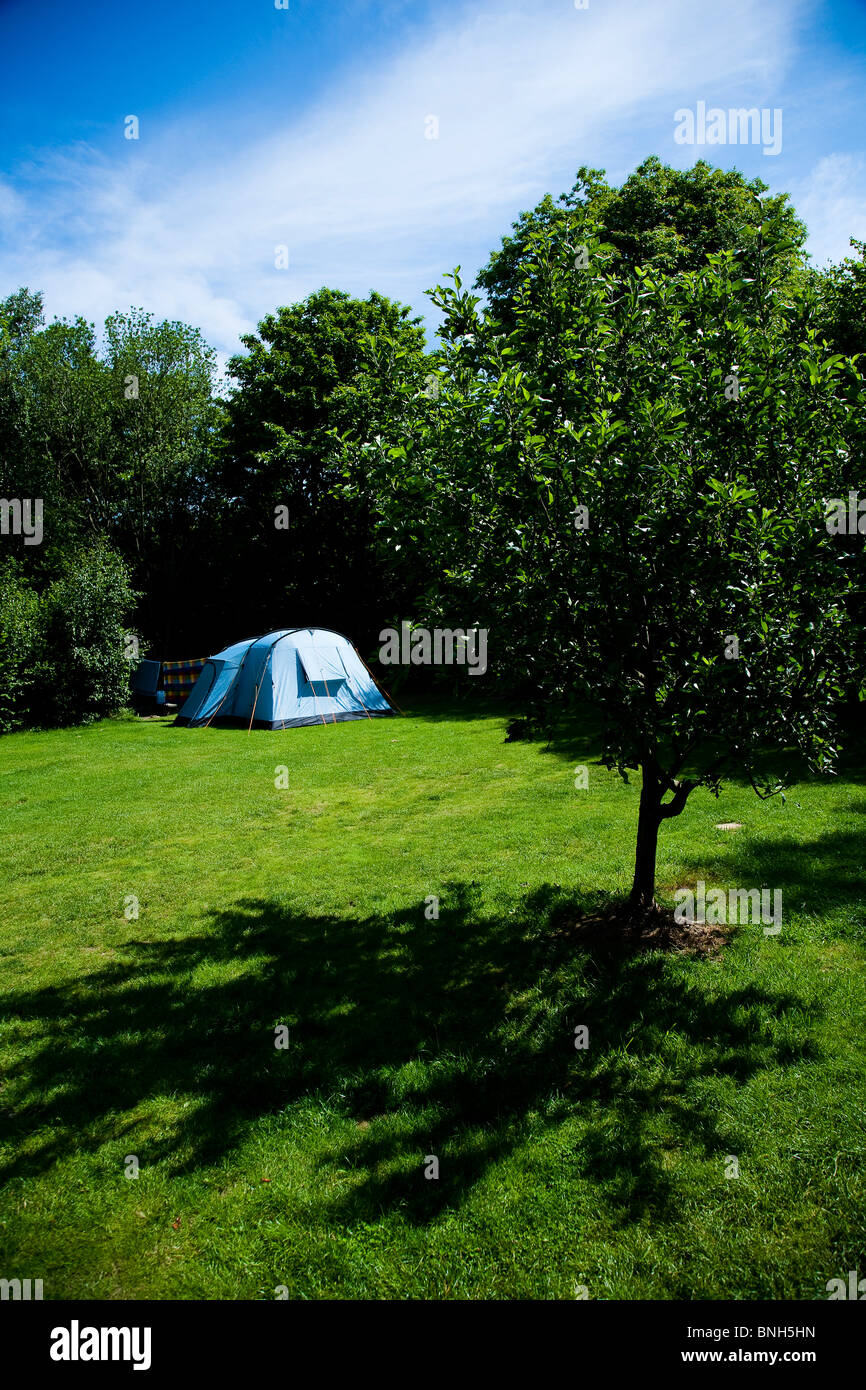 Camping La Ferme des bois, Kent. Avis de tente en clairière herbeuse dans les bois Banque D'Images