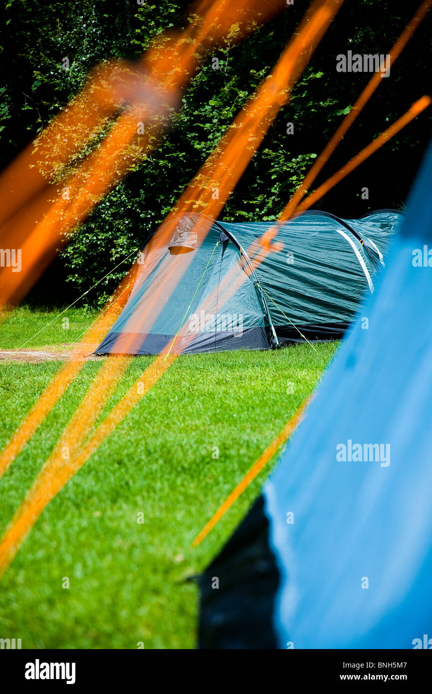 Camping La Ferme des bois, Kent. Voir à travers le guide des cordes de tente Banque D'Images