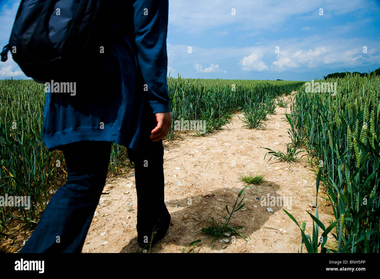 Femme marche sur un sentier public à travers un champ de blé dans le Kent Banque D'Images