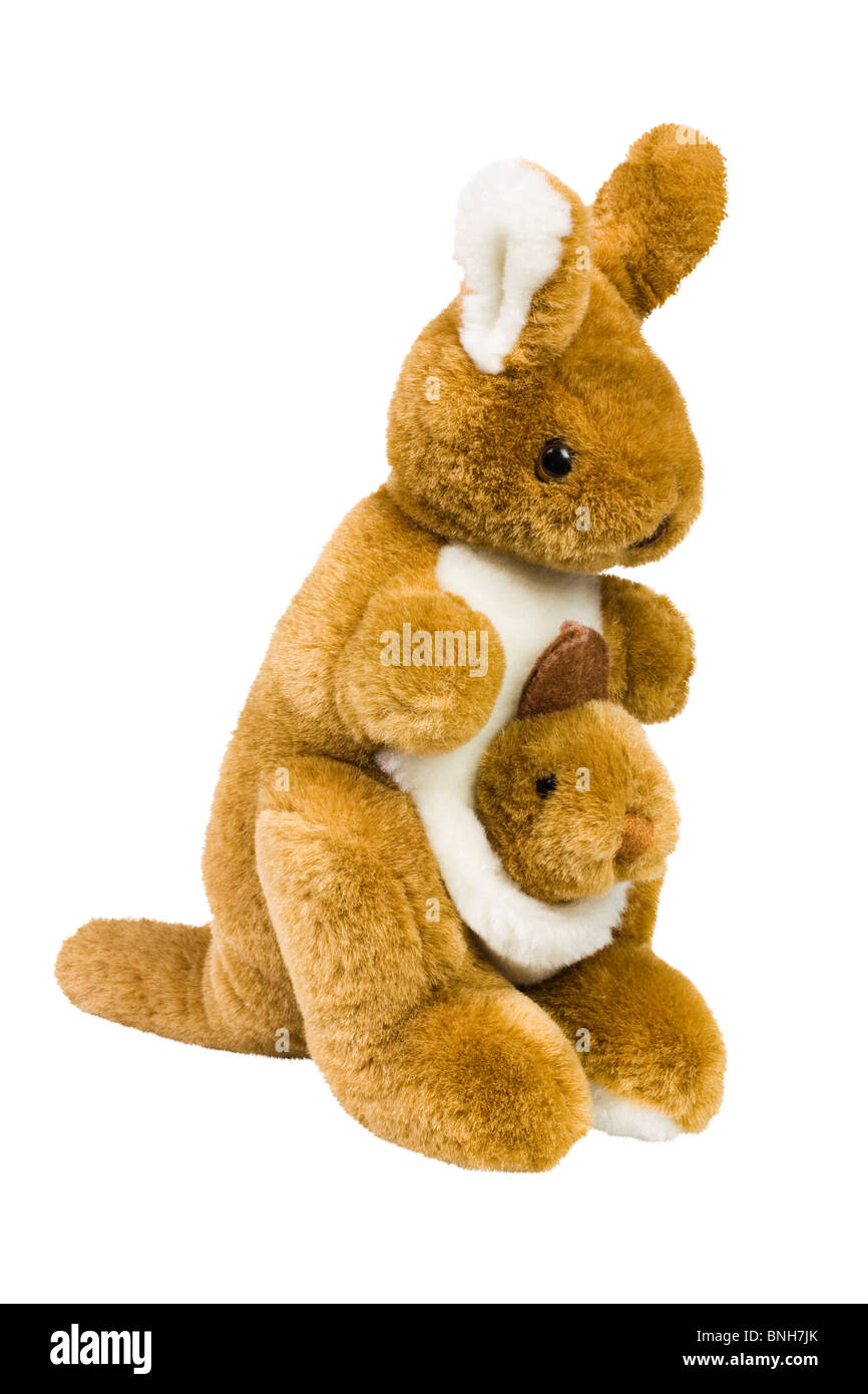 Close-up de kangourou en peluche jouets Banque D'Images