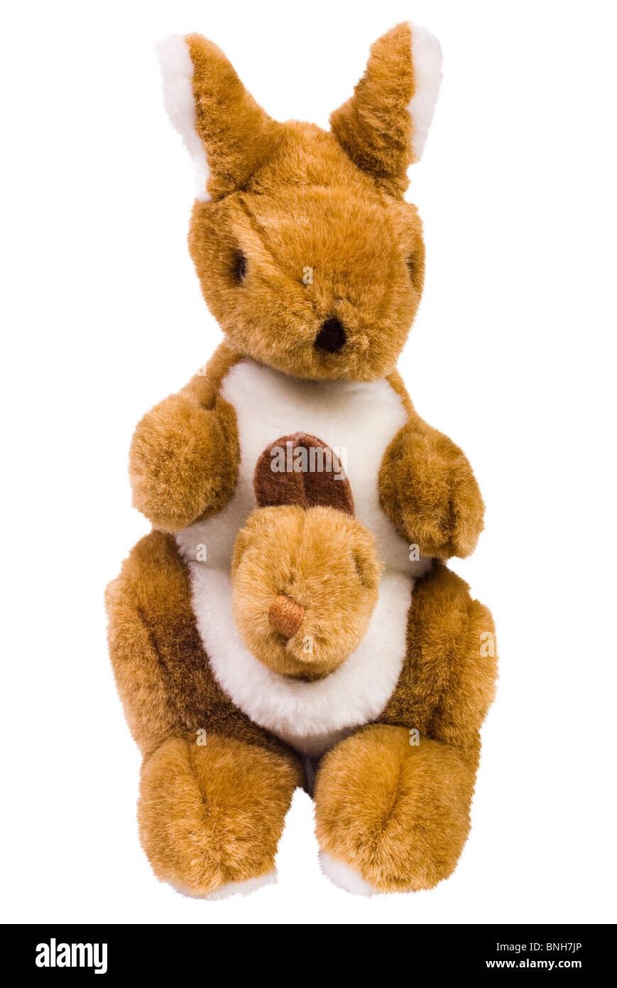 Close-up de kangourou en peluche jouets Banque D'Images
