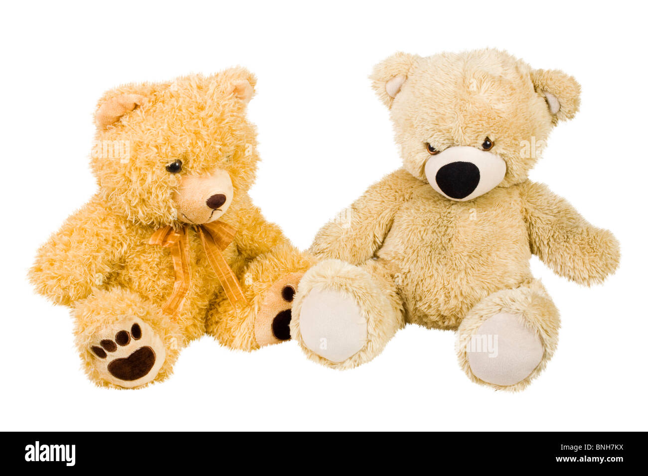 Close-up d'ours Banque D'Images