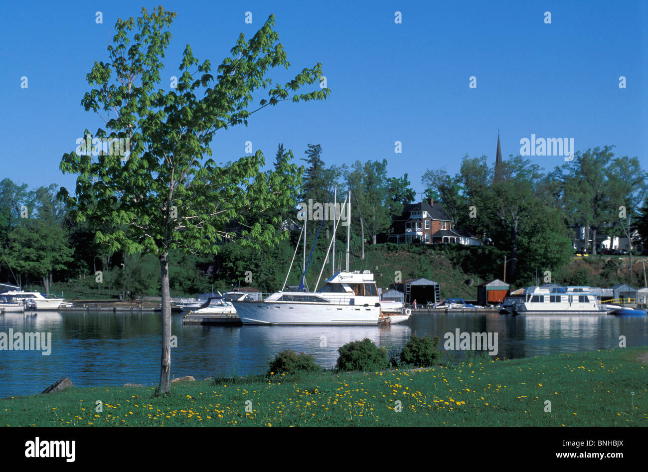Gananoque Canada Ontario Région des Mille-Îles Harbour Marina Bateaux Voiliers d'Amérique du Nord à l'eau de la rive Banque D'Images