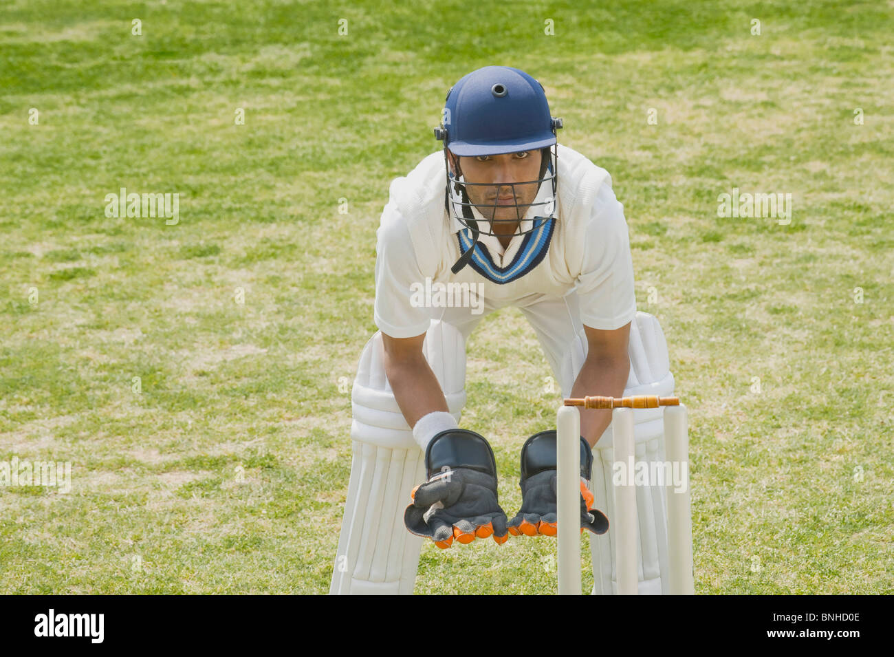 Le Cricket wicketkeeper derrière les souches Banque D'Images