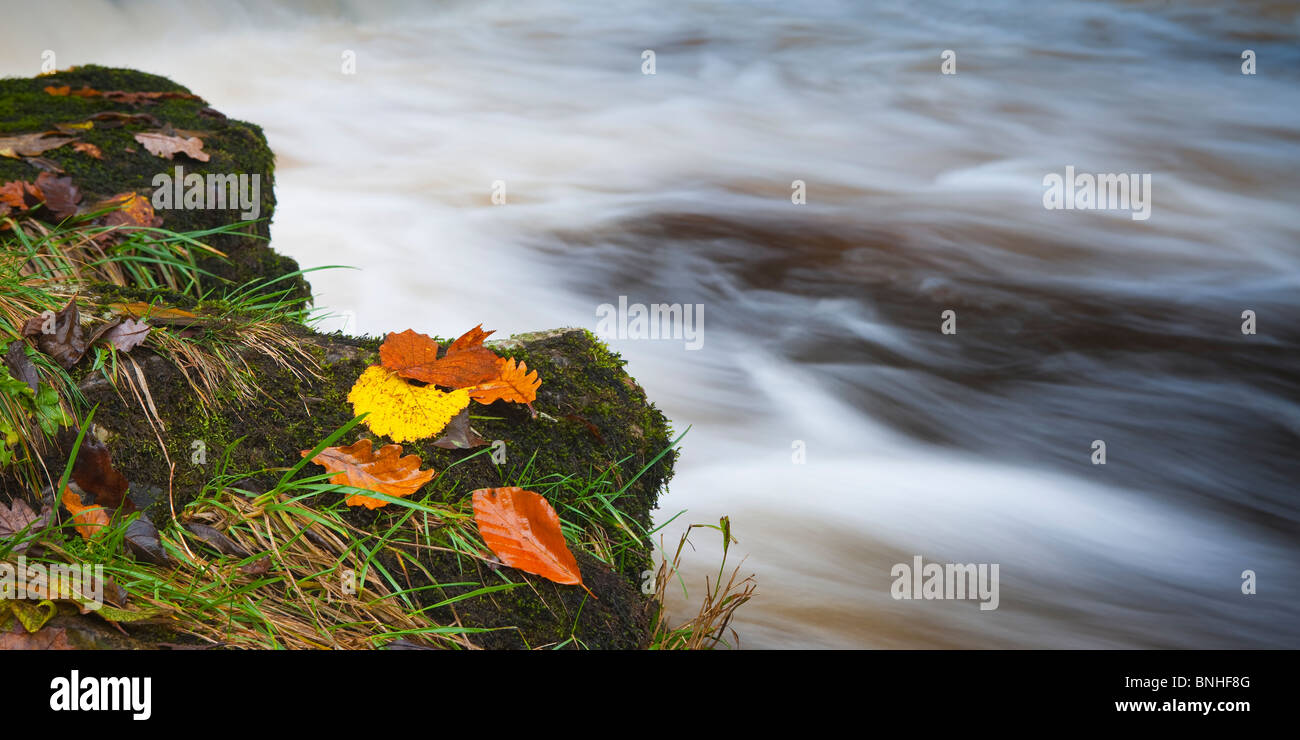 Afon Hepste Brecon Brecon Beacons Powys Pays de Galles Banque D'Images