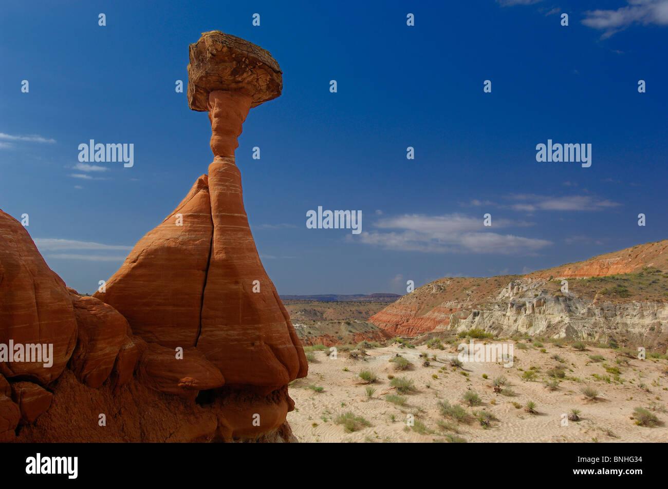 Usa Kanab en Utah Toadstools Hoodoos Grand Staircase Escalante National Monument près de Kanab Colonnes Érosion Roche Roches Tours Banque D'Images