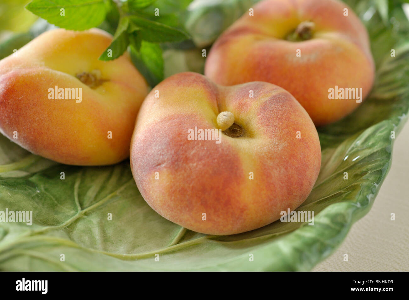 Télévision pêche (Prunus persica var. platycarpa) Banque D'Images