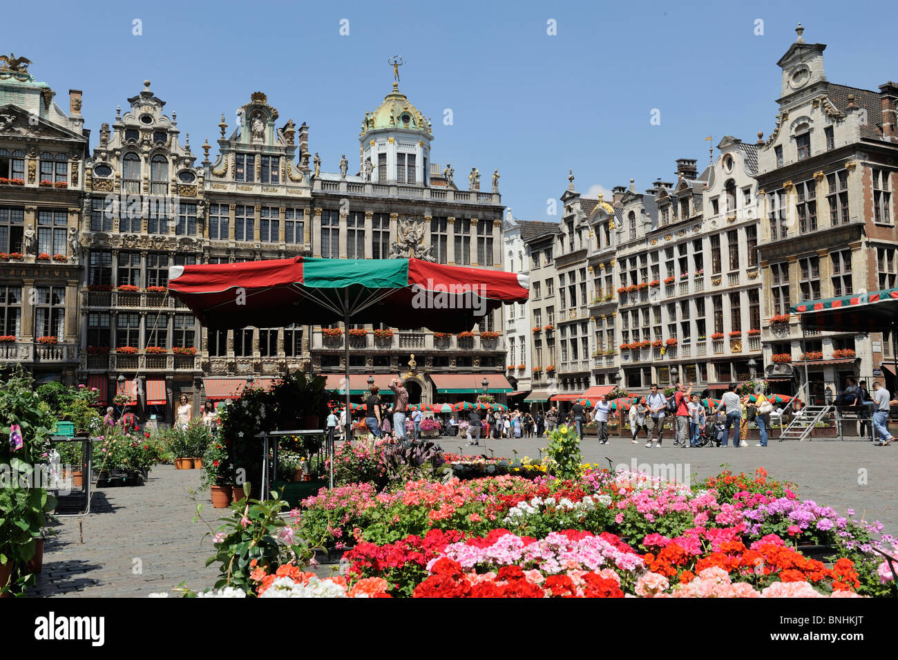 La Grand Place Grand Place Site du patrimoine mondial de l'Unesco place centrale ou plaza à Bruxelles Belgique Europe flower stall Banque D'Images