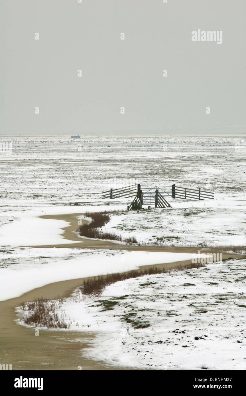 Marais d'Elmley Réserve naturelle nationale dans la neige, les marais nord du Kent, à l'île de Sheppey, Kent, Angleterre. Banque D'Images