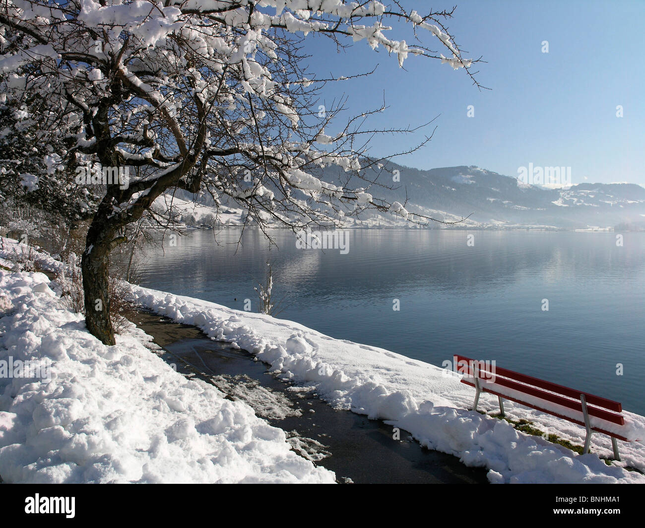 Suisse Canton de Zug Aegeri Lac paysage paysage montagnes nature neige froid hiver arbres collines chemin lakdeside terre Banque D'Images