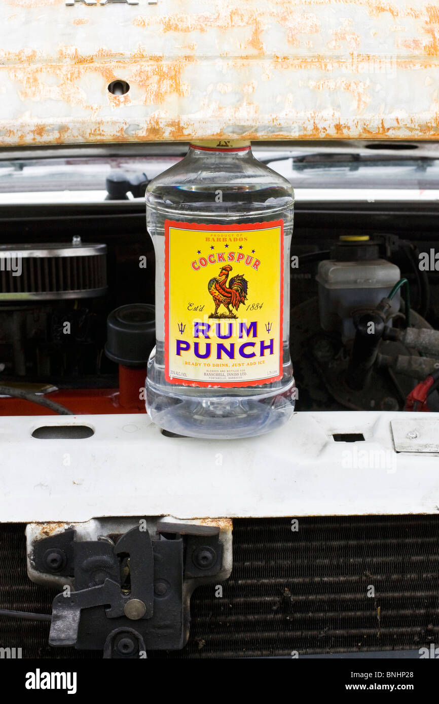 Une bouteille de rhum Punch holding up a bonnet Banque D'Images