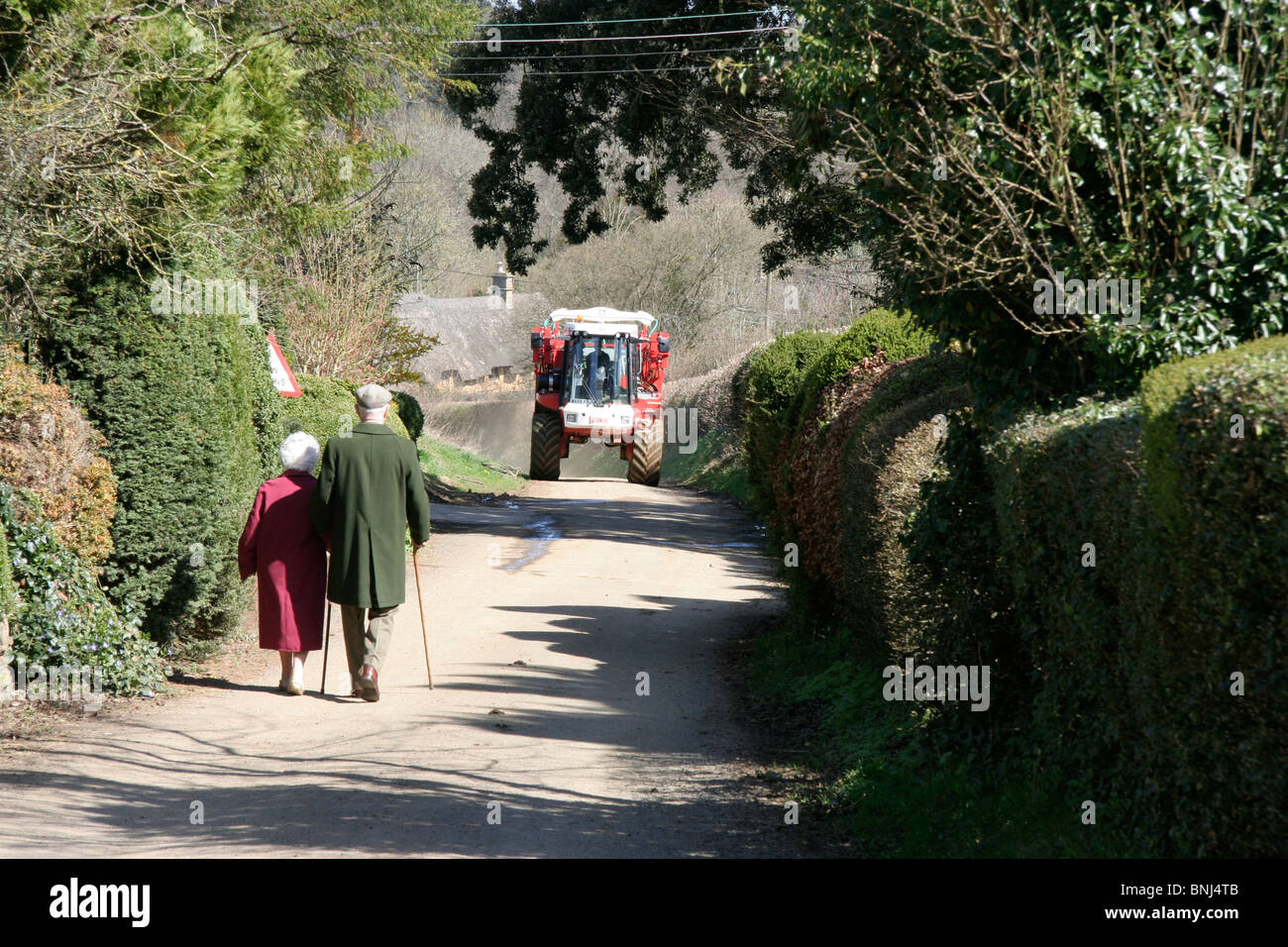 Les personnes âgées à un pays à pied Banque D'Images
