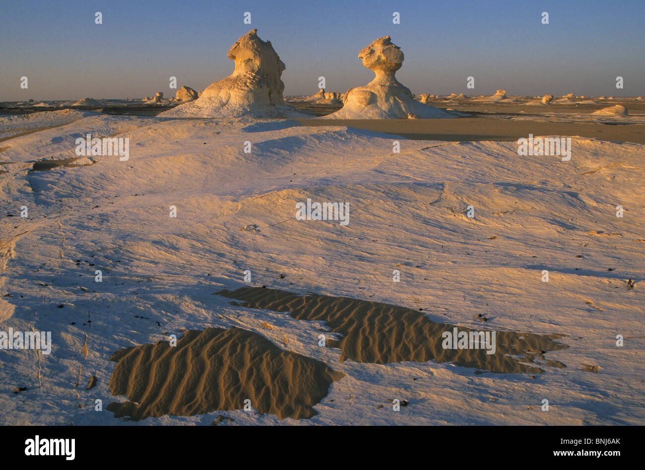 Egypte Afrique du Nord desert National park plaque verre chalk champignons sable désert blanc dawn brown white chalk rock Banque D'Images