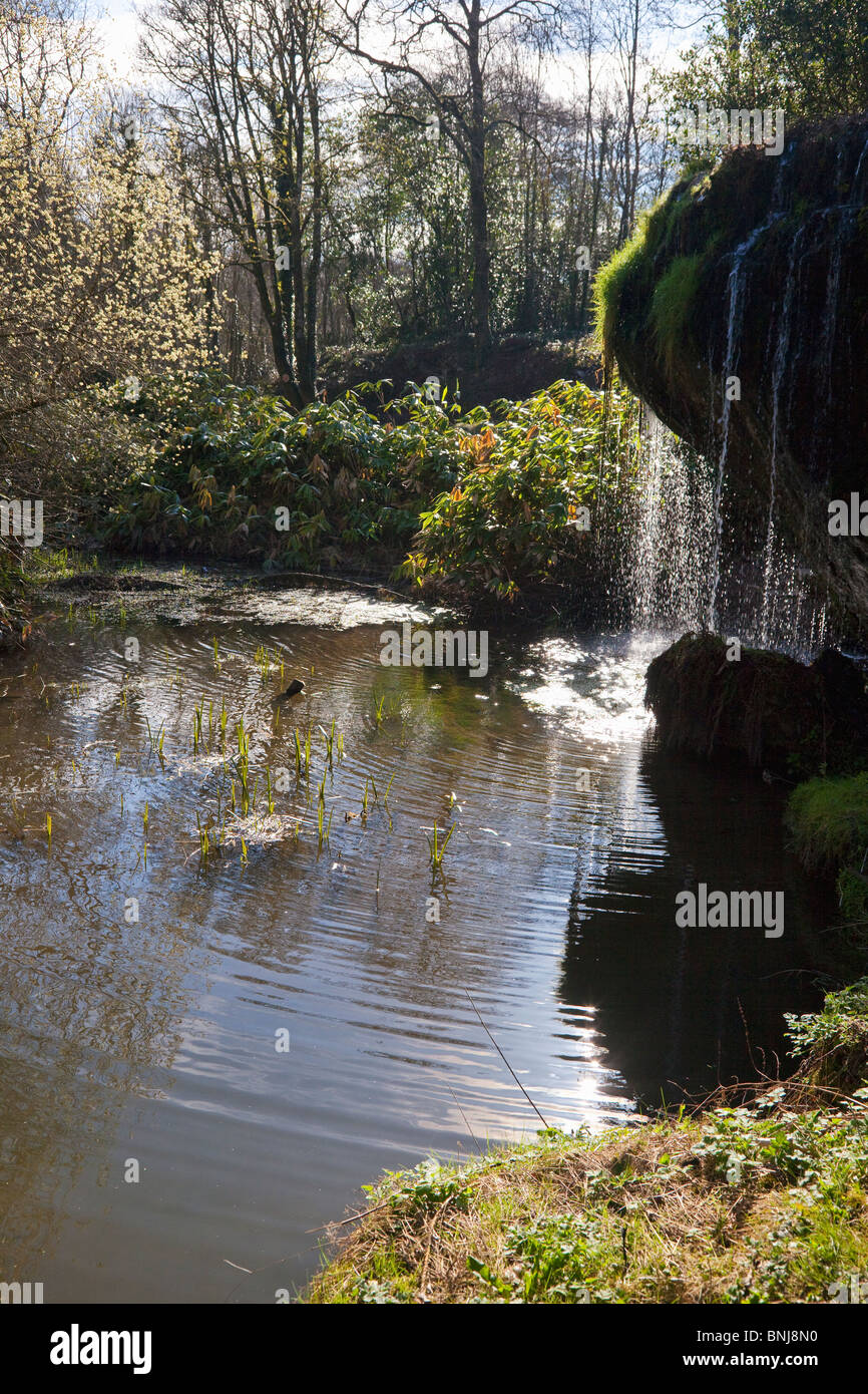 Rock Jardin Jardins le château de Blarney dans soleil du printemps dans le comté de Cork Munster République d'Irlande Eire Europe Banque D'Images