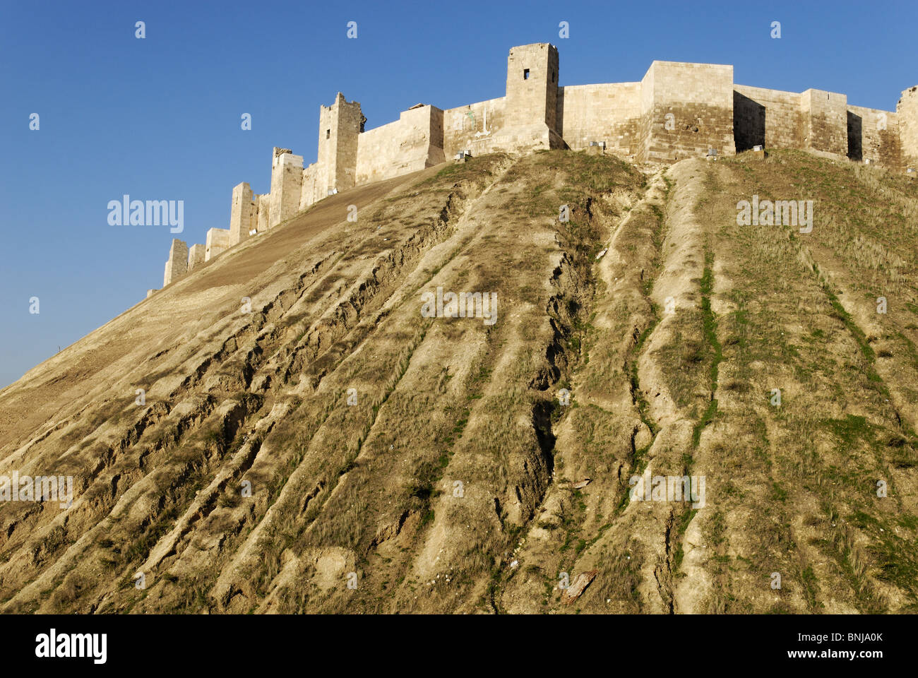 Citadelle historique Aleppo Syrie Saoudite Moyenorient vieille vieille