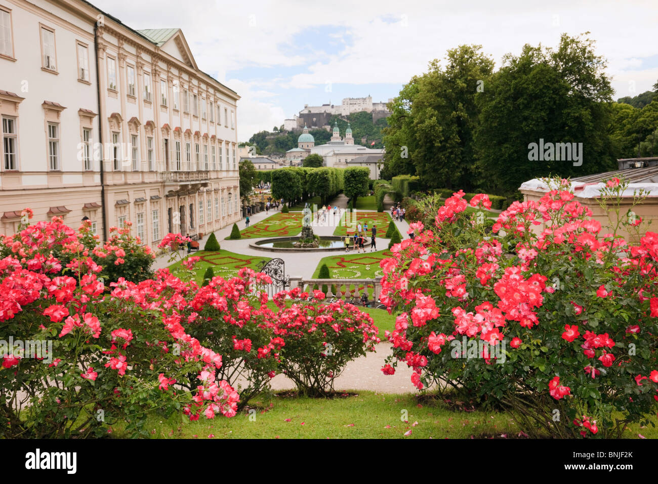 Vue sur le palais Mirabell rose jardins à Schloss Le château de Hohensalzburg. Salzbourg, Autriche, Europe. Banque D'Images