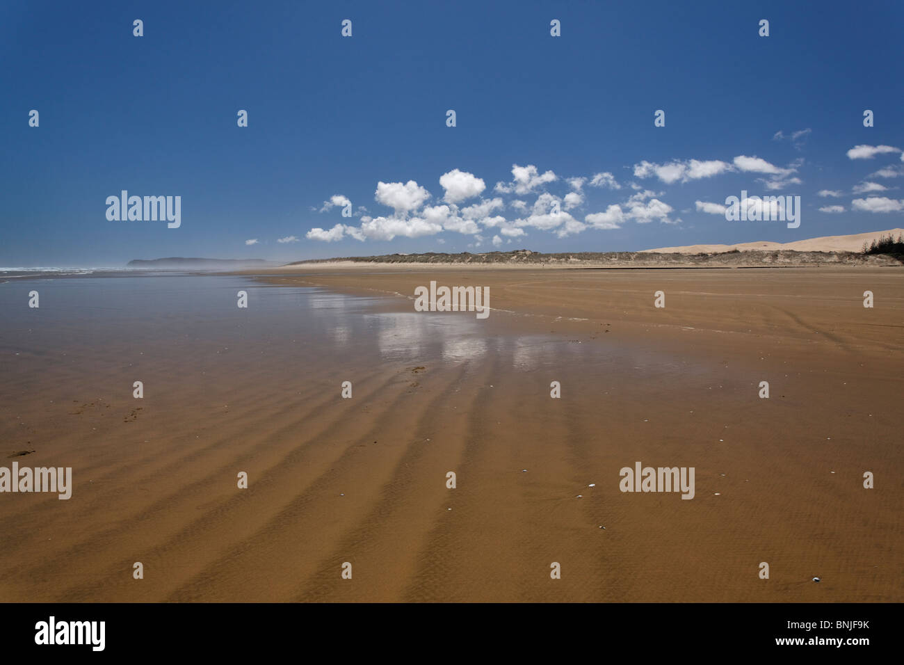 Ondulations dans le sable sur Niety Mile Beach, en Nouvelle-Zélande Banque D'Images