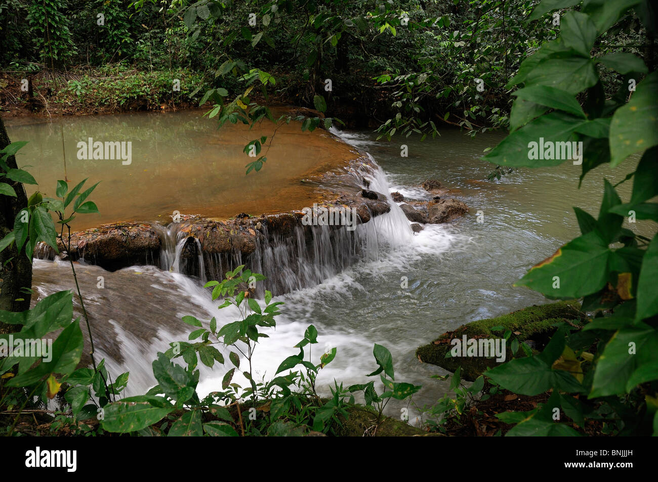 Cascade du ruisseau Cascada El Limon Las Terrenas Péninsule de Samana République Dominicaine maison de vacances tourisme voyage Caraïbes Banque D'Images
