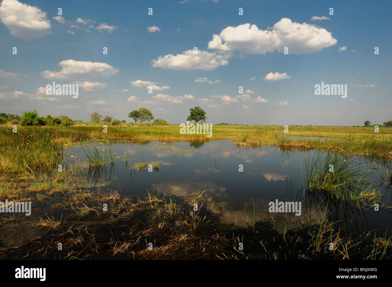 Rivière Kwando Bwabwata National Park Susuwe Island Lodge Caprivi Namibie Afrique voyage nature Banque D'Images