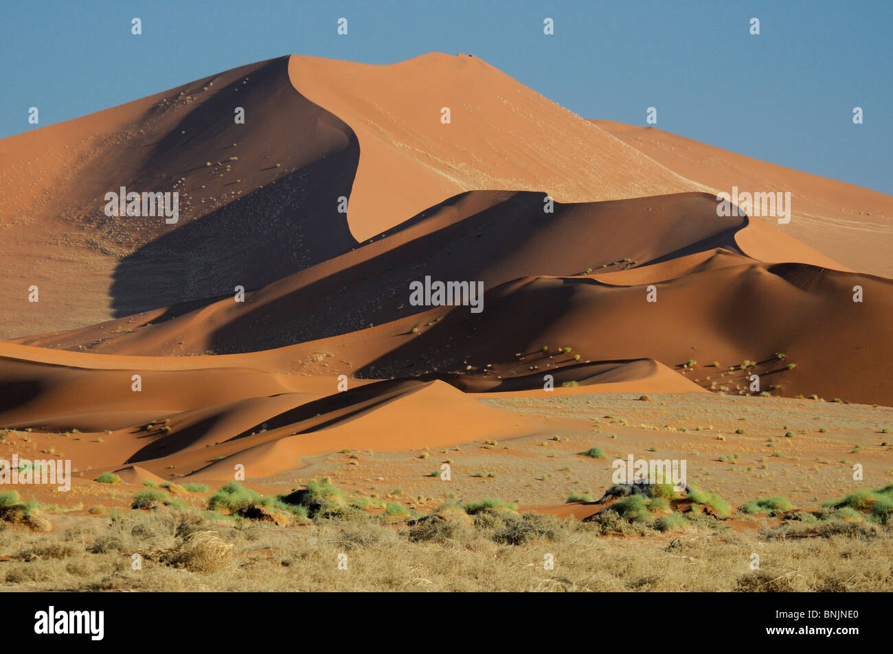 Big Daddy de dunes de Sossusvlei Parc National Namib Naukluft Région Hardap Namibie Afrique Voyage Nature désert de sable Banque D'Images