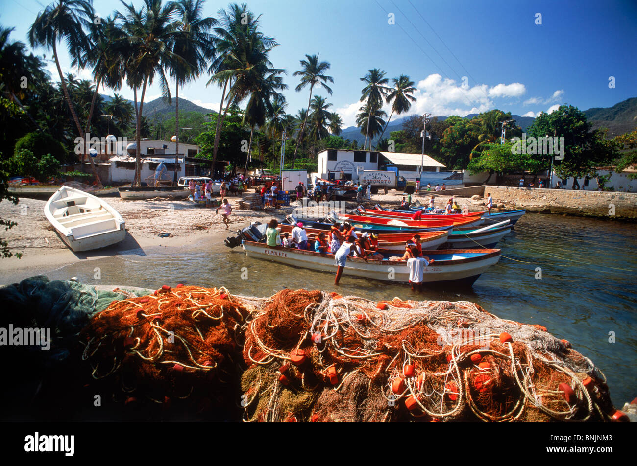 Les filets de pêche et des bateaux sous les palmiers à Caribbean village de Choroni environ trois heures à l'ouest de Caracas, Venezuela Banque D'Images