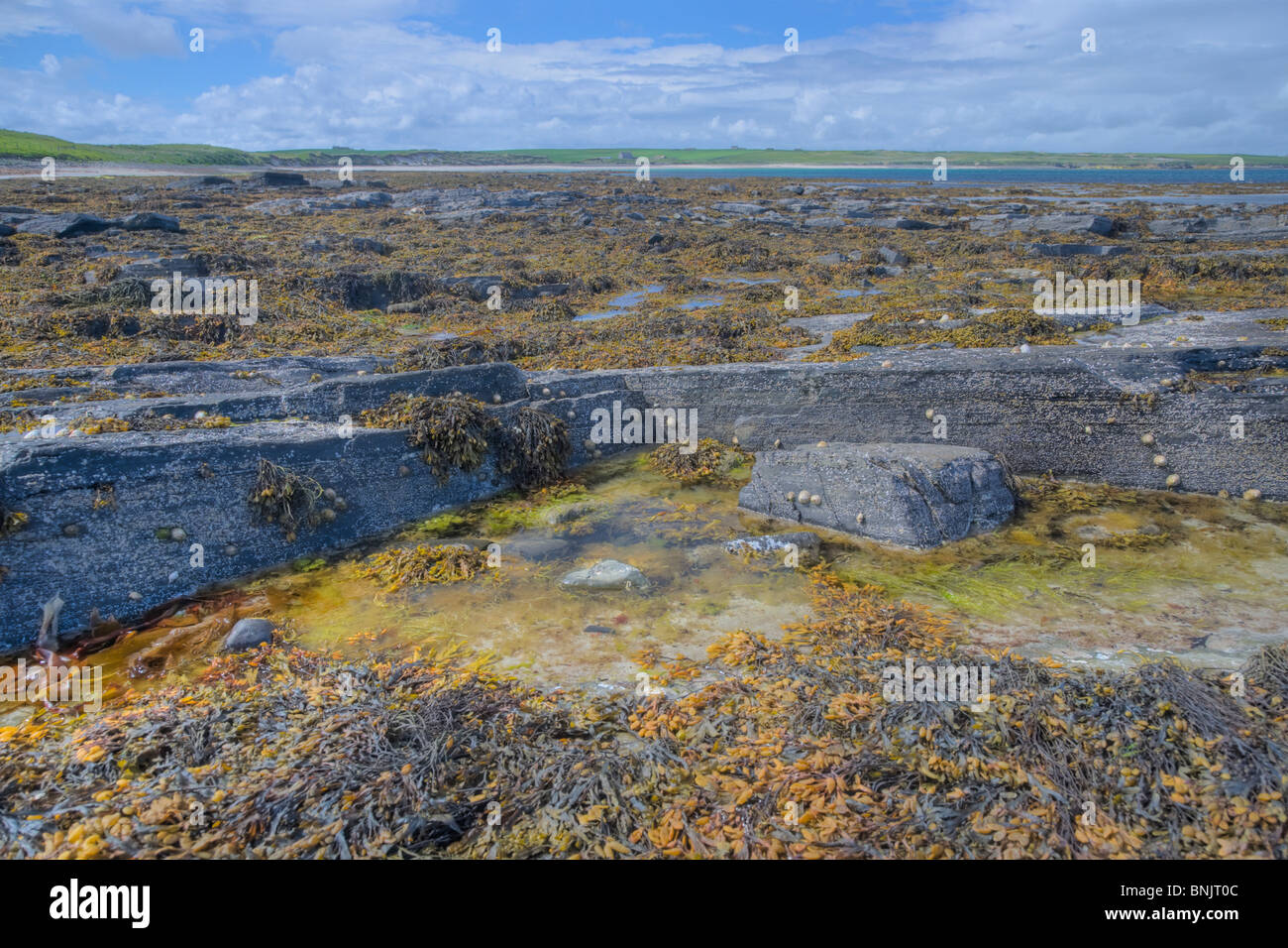 Des rochers à marée basse Burray, Orkney LA005297 Banque D'Images