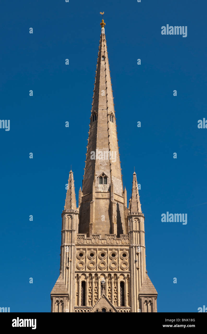 À la flèche de la cathédrale de Norwich Norfolk , , Bretagne , France Banque D'Images